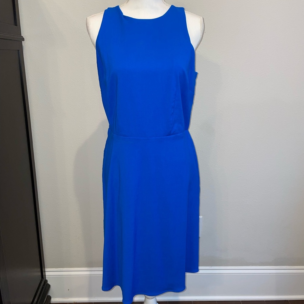 Classic Blue Dress